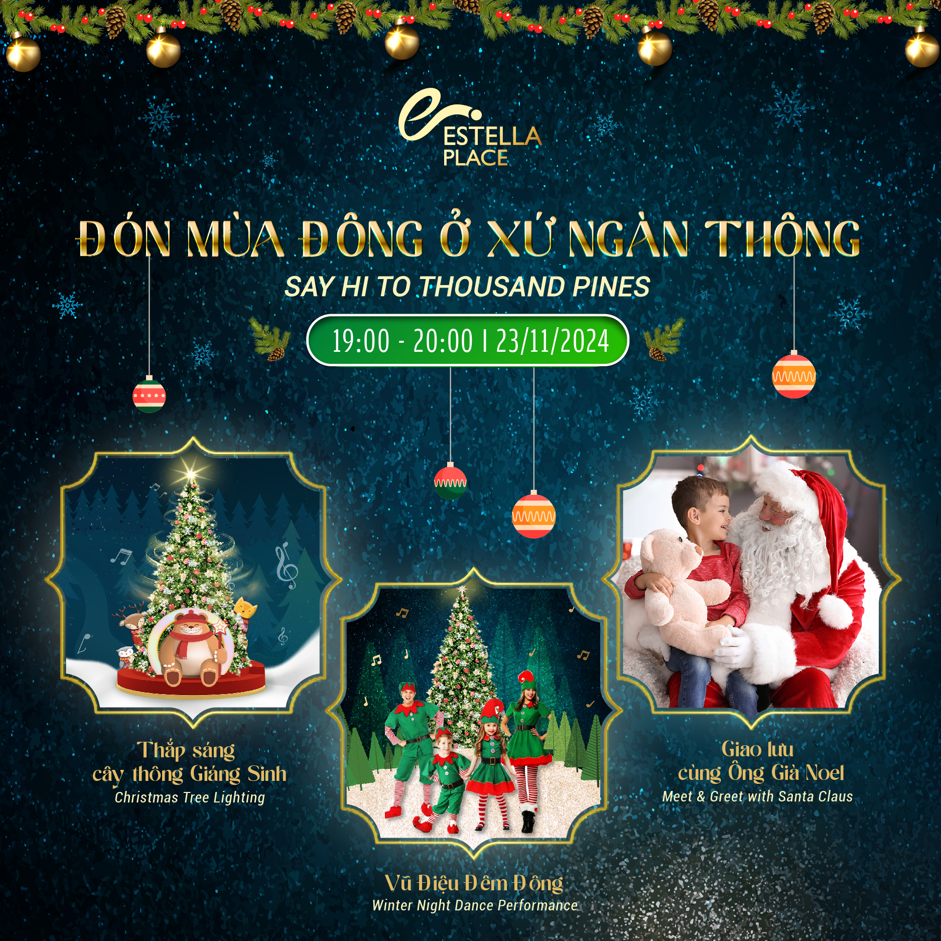 🎄ĐÓN MÙA ĐÔNG Ở XỨ NGÀN THÔNG🎄