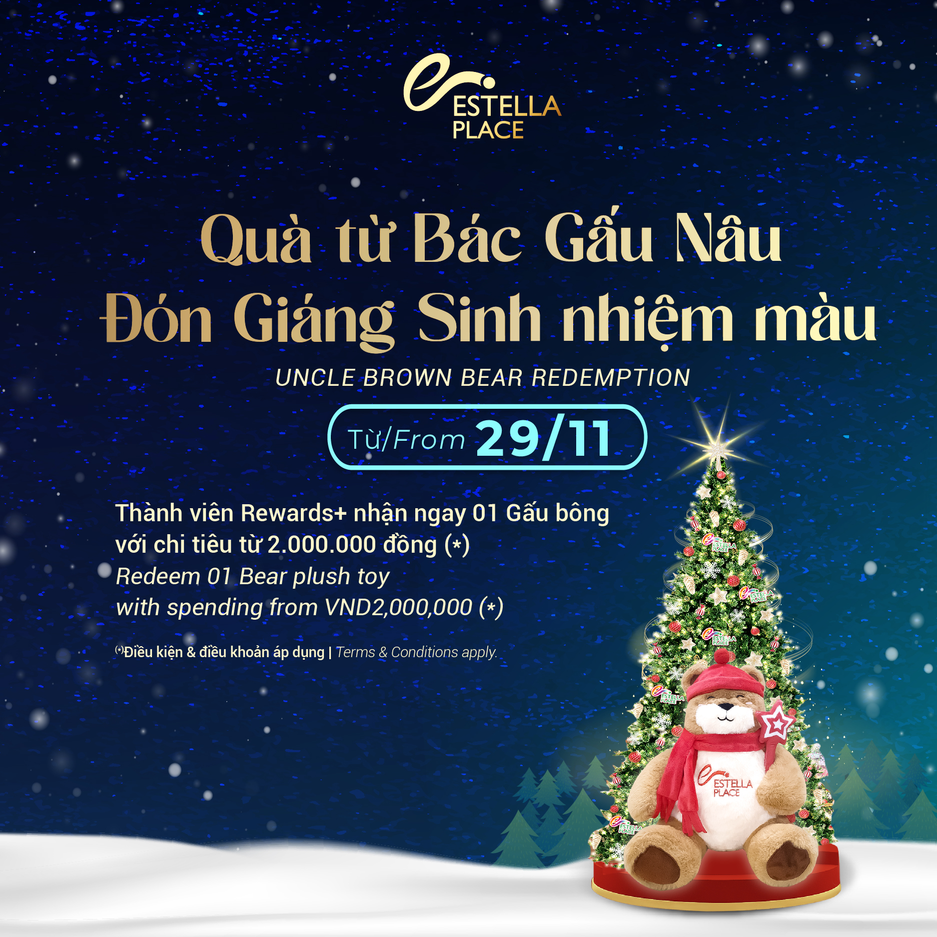 QUÀ TỪ BÁC GẤU NÂU🐻– ĐÓN GIÁNG SINH NHIỆM MÀU🎁