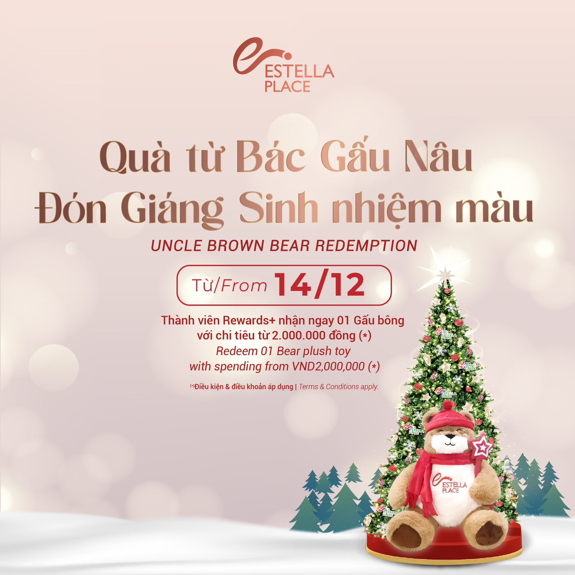 🐻QUÀ TỪ BÁC GẤU NÂU –🎄ĐÓN GIÁNG SINH NHIỆM MÀU